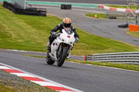 Advanced Group White Bikes